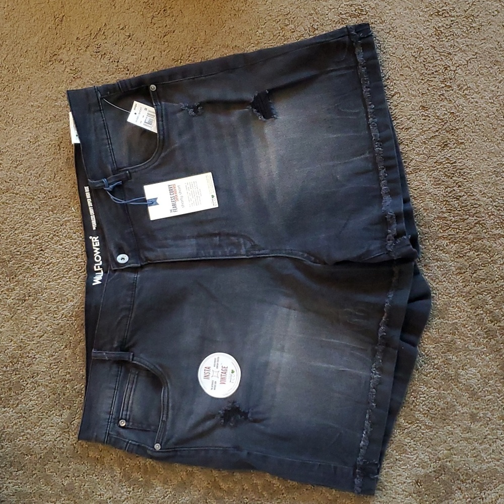 Womens Wallflower Curvy Super High Rise Shorty Shorts Size 22W 24W Black NWT